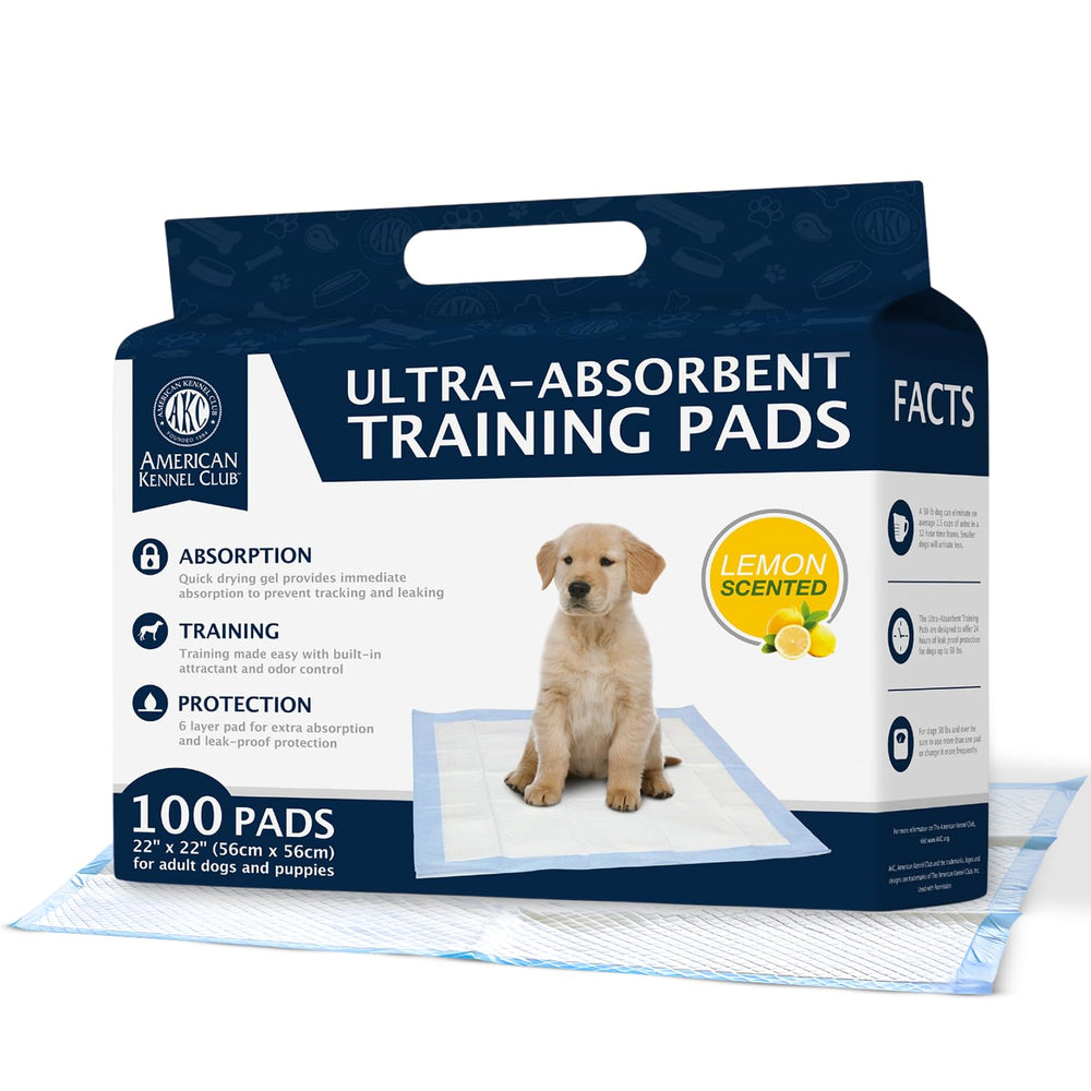 AKC scented puppy training pad showing leak-proof top layer for dry paws.