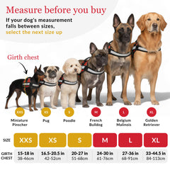 ALBCORP service-dog-vest-harness-no-pull-chest distributes pressure for comfortable wear.