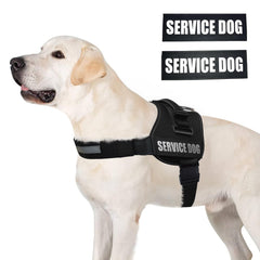 ALBCORP service-dog-vest-harness-top-handle enables close control in crowds.
