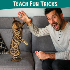 ALBERT & MIA Target Stick Clicker with cat in focus for interactive sessions