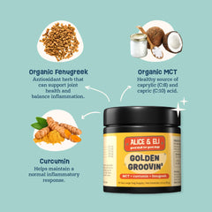 Alice & Eli Golden Groovin turmeric for dogs powder and scoop for convenient supplementation