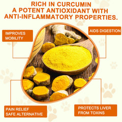 ALIVO Turmeric for Dogs joint-pain-relief tablets for active dogs.