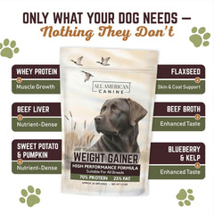 All American Canine Bulk Weight Gainer dog enjoying playtime with extra energy.