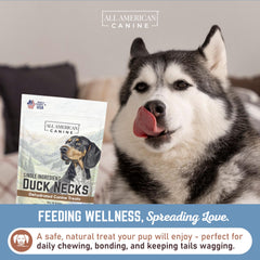 All American Canine training-boost image illustrates bite-sized rewards for positive reinforcement.