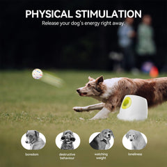 ALL FOR PAWS 2.5-inch EPTU balls close-up highlighting gentle dental-friendly material