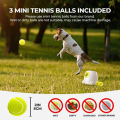 All For Paws Automatic Ball Launcher used indoors outdoors for versatile play with dogs.