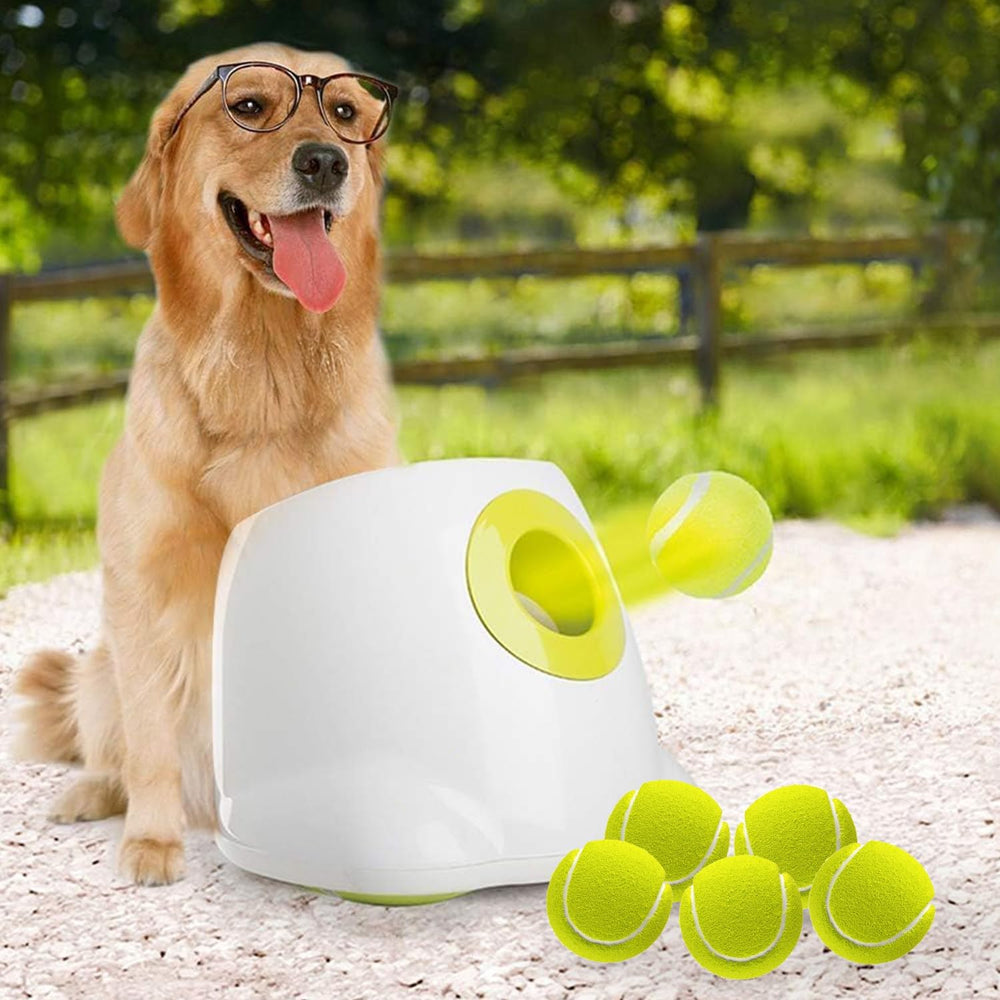 All for Paws ball launcher front view showing compact, easy-to-use home device.