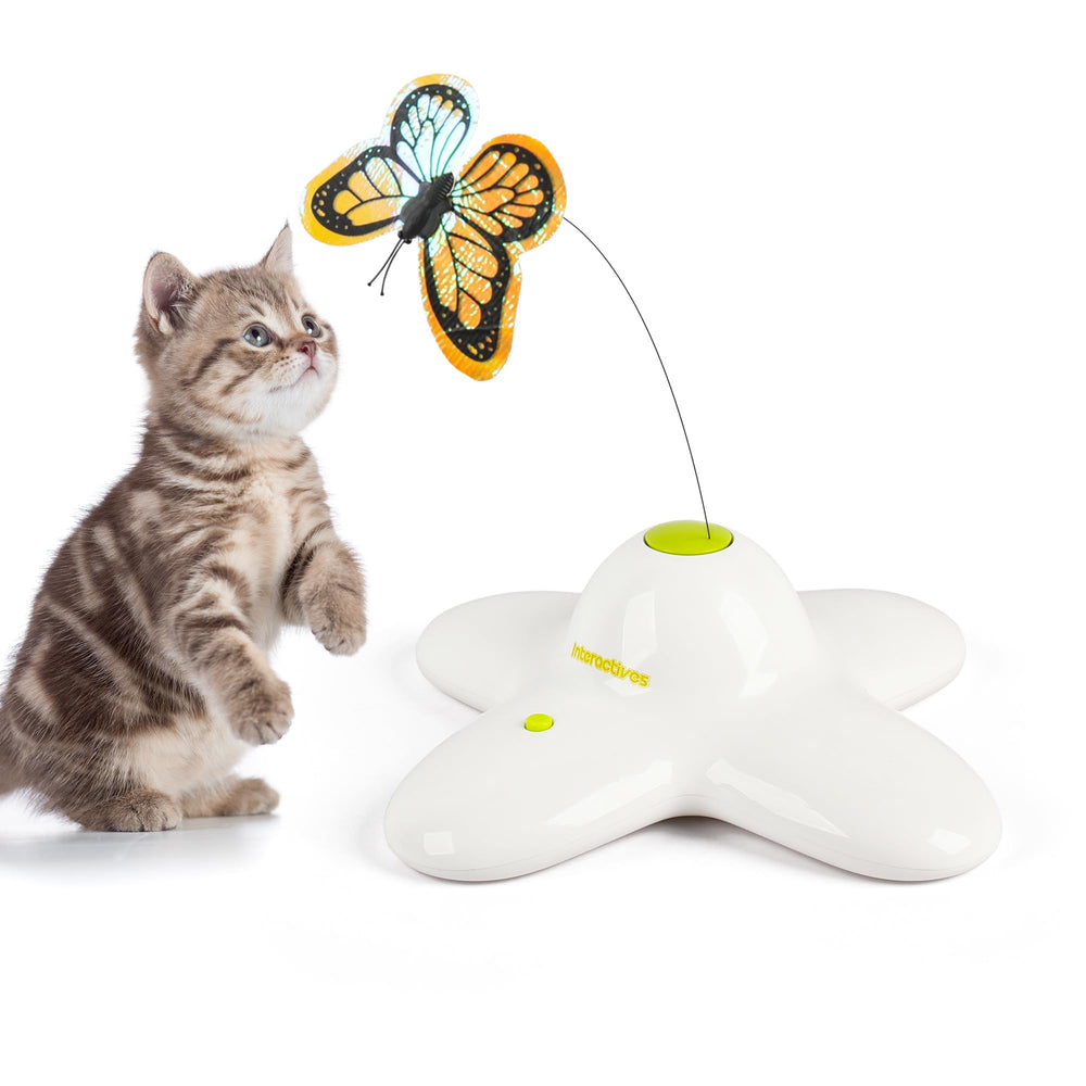 ALL FOR PAWS butterfly teaser front view inviting chase-ready design for indoor cats