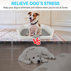 ALL FOR PAWS indoor potty tray with raised walls contains splashes for a cleaner home.