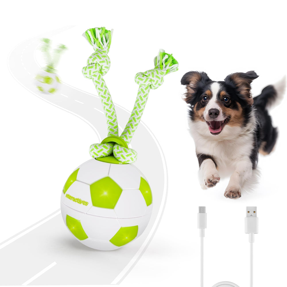 ALL FOR PAWS interactive ball with durable rope for engaging fetch and tug play