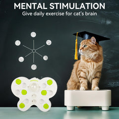 ALL FOR PAWS modular design is easy to disassemble and clean.