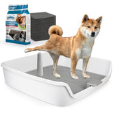 ALL FOR PAWS pee pad holder grid design directs urine into the tray for dry paws.