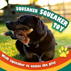 ALL FOR PAWS pheasant toy with squeaker for engaging fetch sessions.