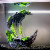 Allcolor Moon Valley rocks provide a natural focal point for freshwater aquariums.