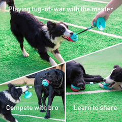 ALLRIER dog toy with tug of war design for dynamic play