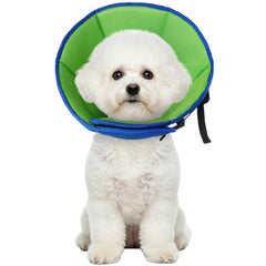 Allroaring dog cone with measurement guide for secure sizing.