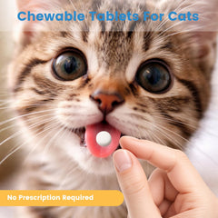 Cat calm after administration using Alltripal dewormer
