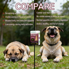Alltripal dog wormer 48-count bottle suitable for puppies and adults