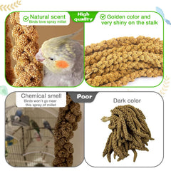 ALWZ-RDY hand-picked millet stems highlight freshness