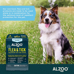 ALZOO water-resistant-dog-squeeze-on stays on during outdoor play.