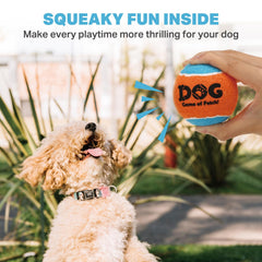 AMA SPORT squeaky dog balls in action with bright colors for quick spot during play.