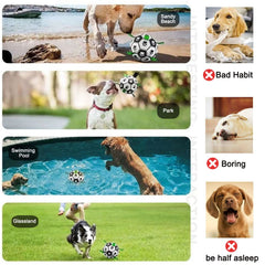 Amasiver dog soccer ball is waterproof and floats for water play.
