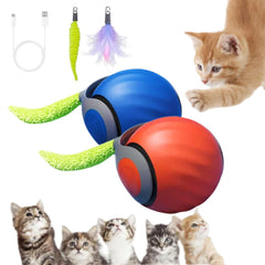 AMATFFUG Speediest Tail 2.0 cat ball in action stimulates active play and curiosity.