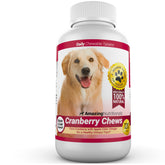 Amazing Nutritionals cranberry dog chews bottle label highlighting daily urinary support.