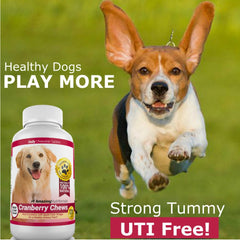 Amazing Nutritionals cranberry dog supplement packaging emphasizing urinary health and immune support.