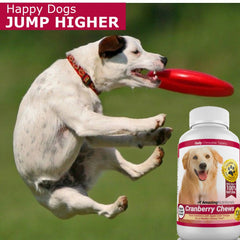 Amazing Nutritionals cranberry dog supplement USA-made label showcases GMP manufacturing and quality.