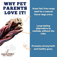 Dog chewing on Amazing Dog Treats beef gullet stick chew