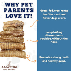 Amazing Dog Treats beef trachea 6inch dog-reward image emphasizes tasty, single-ingredient chew.