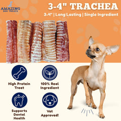 Amazing Dog Treats beef trachea rings 3-4 inch pack shot highlighting 12-count value