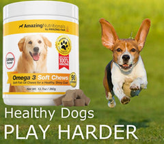 Omega 3 for Dogs coat shine close-up highlights glossy coat