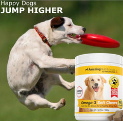 Dog enjoying the salmon flavored omega 3 chew for skin and coat support