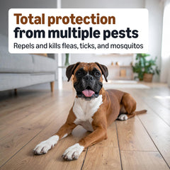 Amazon Basics bottle shows active ingredients for flea and tick control.