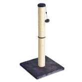 Amazon Basics cat scratching post with dangling ball toy for indoor play and nail upkeep