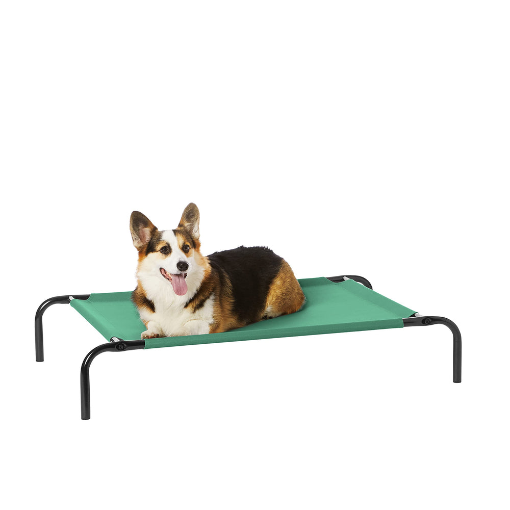 Amazon Basics cooling elevated dog bed green, assembled for cooling comfort and joint support