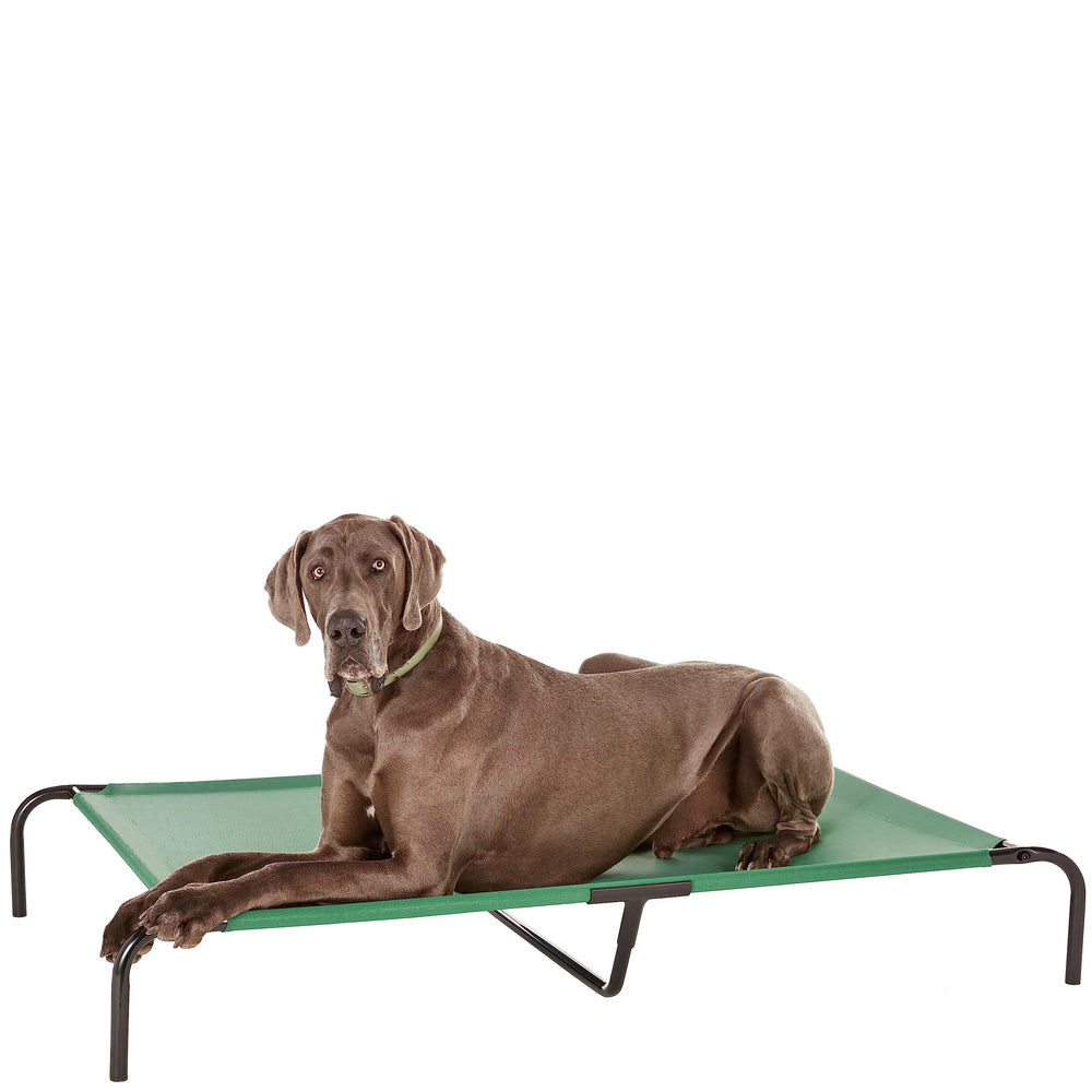 Amazon Basics cooling elevated dog bed in green frame offers cooling comfort for large dogs