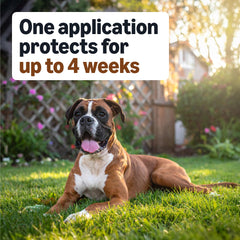 Fast-acting topical for dogs — starts within 24 hours