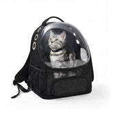 Amazon Basics pet carrier backpack with bubble window lets small pets observe surroundings during travel.