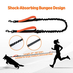 Amazon Basics reflective stitching enhances visibility during dawn or dusk walks