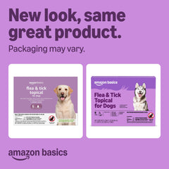 Amazon Basics topical treatment applied to a large dog's back.