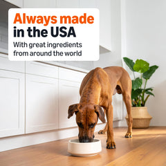 Serving bowl with Amazon Basics wet dog food ready to serve at room temperature