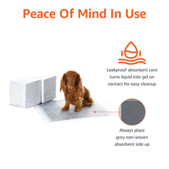 Built-in attractant supports puppy and dog training routines.