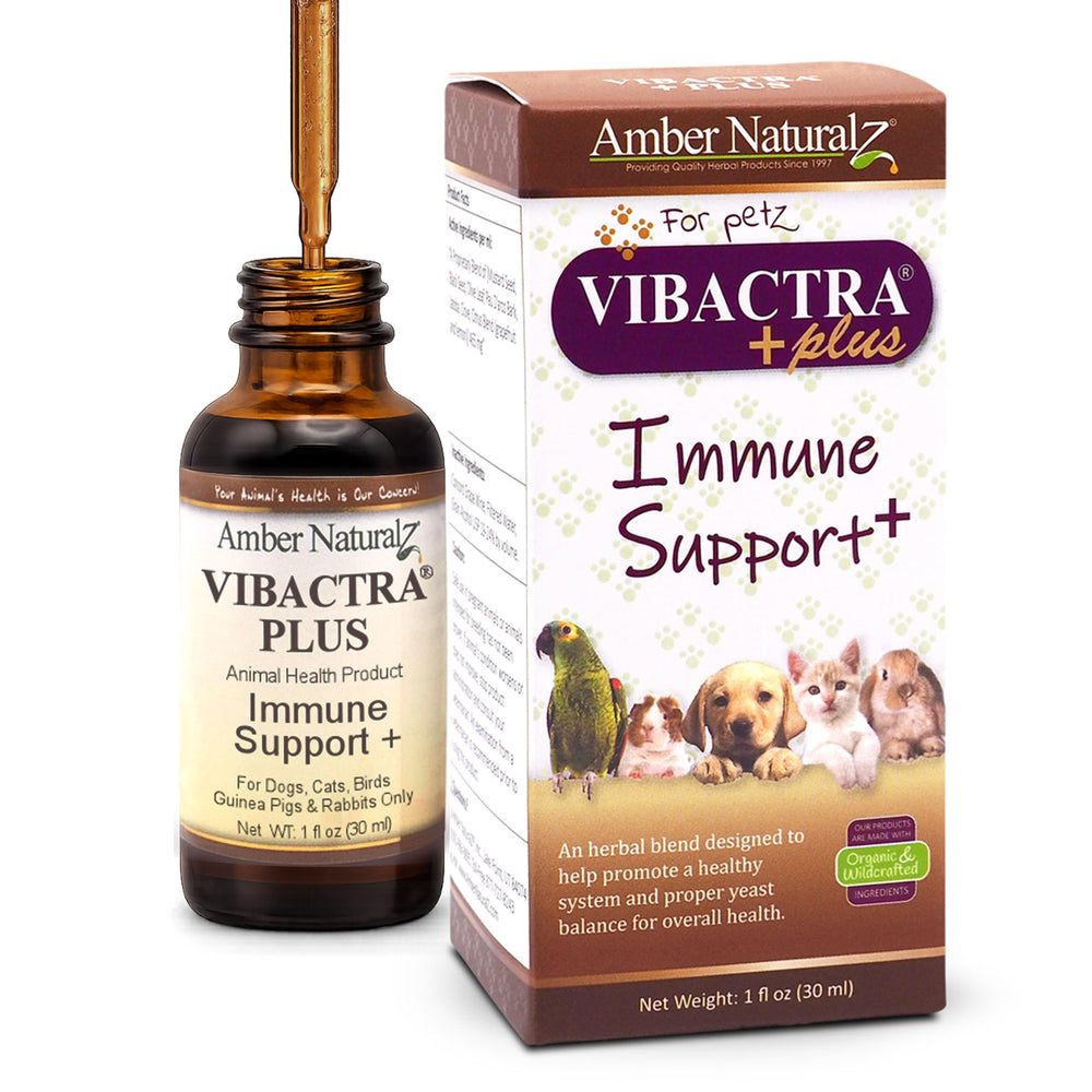 Amber NaturalZ Vibactra Plus bottle on shelf ready for pet immune support