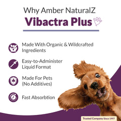 Close-up of Vibactra Plus herbal blend with organic ingredients