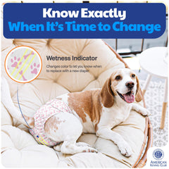 American Kennel Club wrap with quick-drying core keeps your pup dry