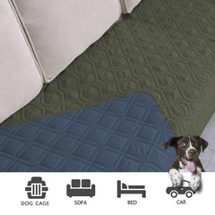 Ameritex furniture protector on a sofa during pet playtime.
