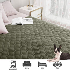 Ameritex protects your sofa from accidents and messes.